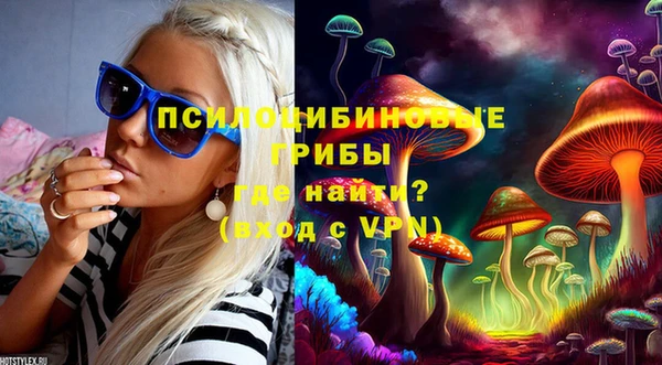 PSILOCYBIN Белокуриха