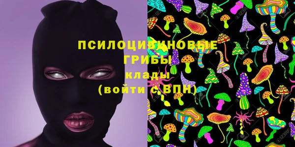 PSILOCYBIN Белокуриха
