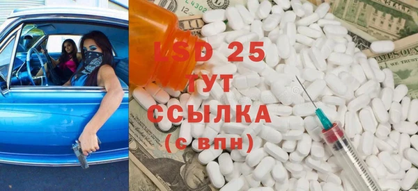 PSILOCYBIN Белокуриха