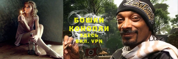 PSILOCYBIN Белокуриха