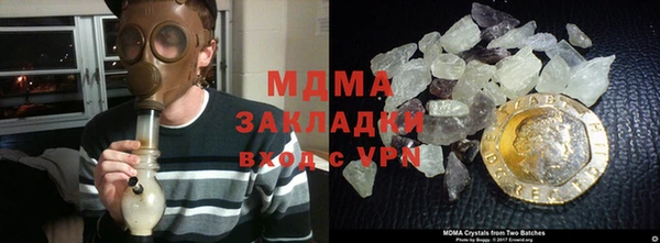 PSILOCYBIN Белокуриха