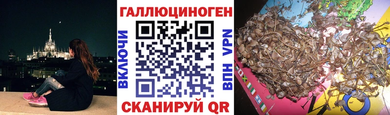 купить  сайты  Белгород  Псилоцибиновые грибы Magic Shrooms 